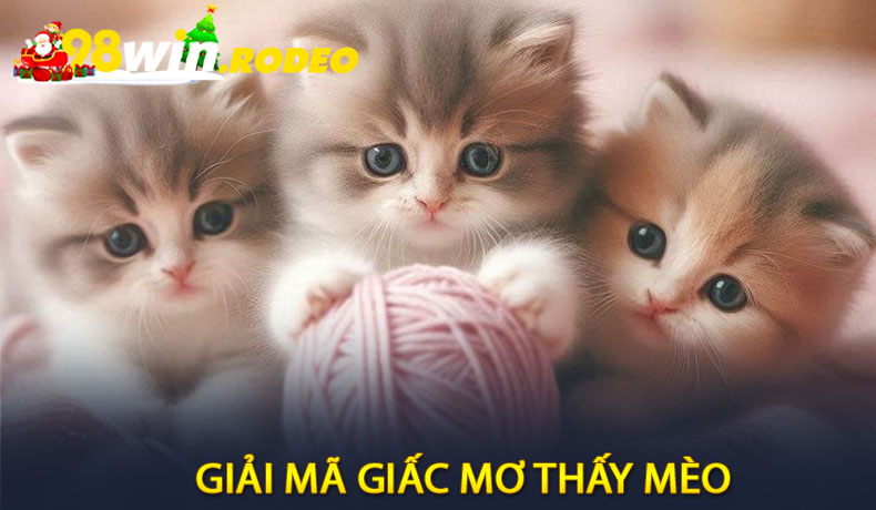 Giải Mã Giấc Mơ Thấy Mèo